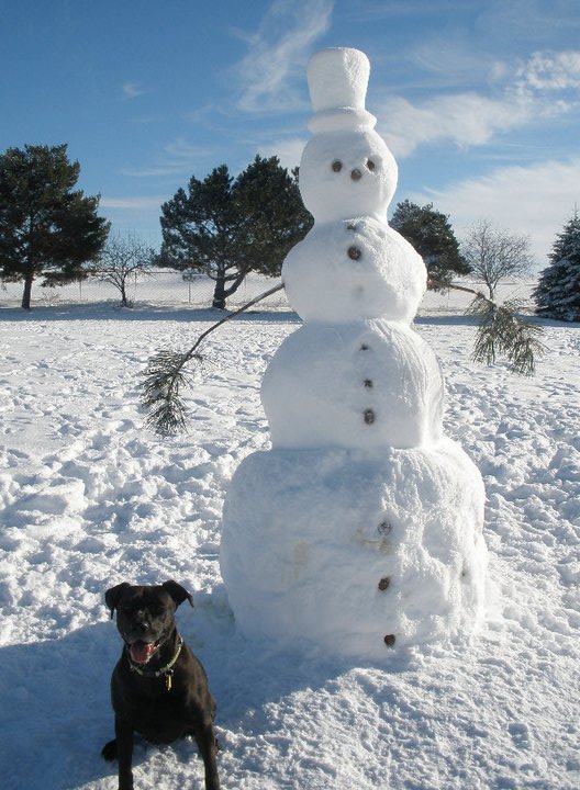 dog-snowman